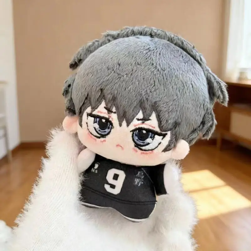 Kreskówka Anime Haikyuu Shoyo  – Supply Event recenzja i cena