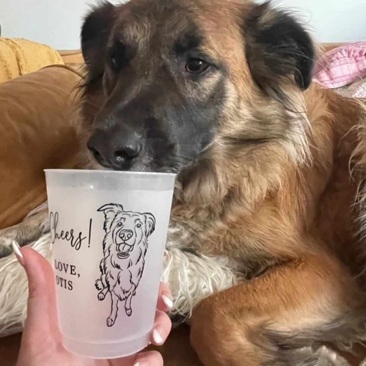 10/50 Personalizowane Matowe K – Plastic Cup 50Pcs recenzja i cena